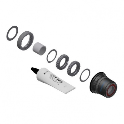 DT Swiss Ratchet LN Conversion Kit for 3-pawl Hubs - MTB - 36-tooth - Hybrid Steel - SRAM XD