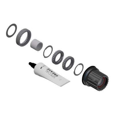 DT Swiss Ratchet LN Conversion Kit for 3-pawl Hubs - MTB - 36-tooth - Hybrid Steel - Shimano Micro Spline