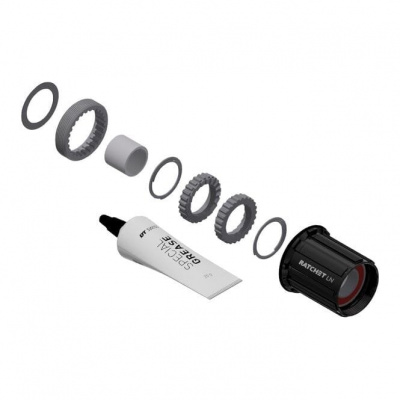 DT Swiss Ratchet LN Conversion Kit for 3-pawl Hubs - Road - 18-tooth - Shimano 11-Speed Road
