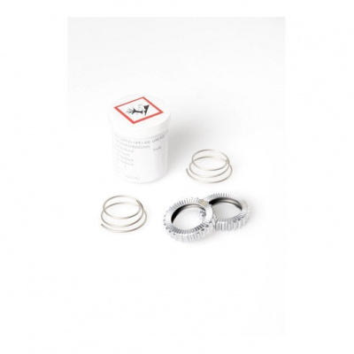 DT Swiss Service / Upgrade Kit for Star Ratchet Hubs 54 Teeth SL
