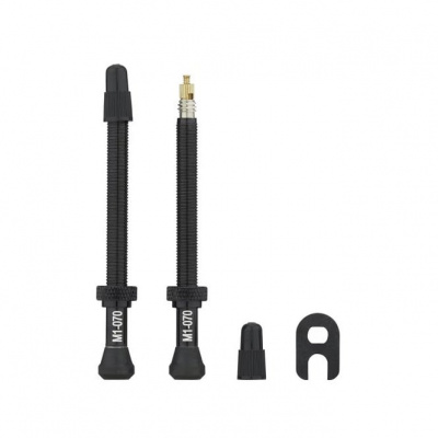Fulcrum 2-Way Fit Tubeless Valve 70mm