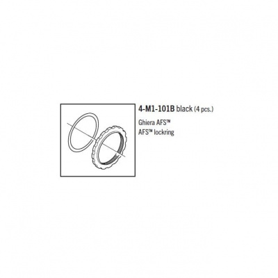 Fulcrum Lockring and Washer for AFS Disc