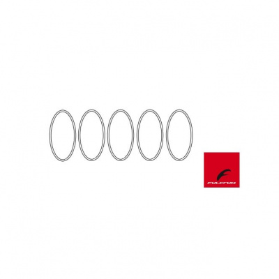 Fulcrum Pawl Springs (5 Pcs) - 5-R1-015