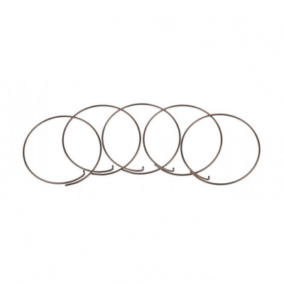 Fulcrum Spring Pawl FW Body MTB
