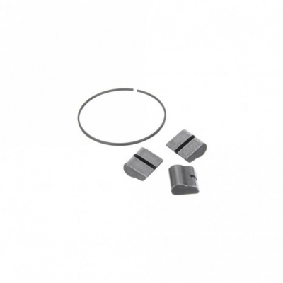 Miche Freehub Pawl/Spring Kit