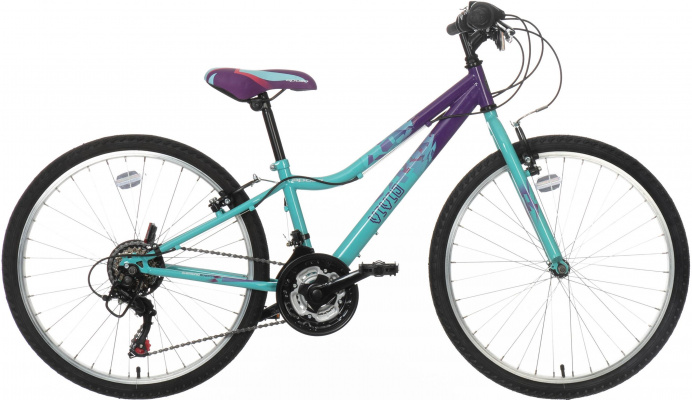 Apollo independence junior mountain bike online