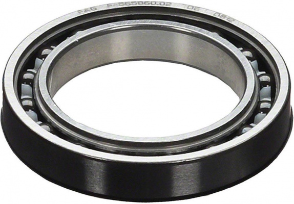 Campagnolo Record 11x Ultra Bearings