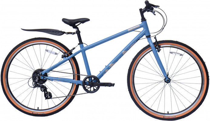 Raleigh Pop Junior Bike, Blue