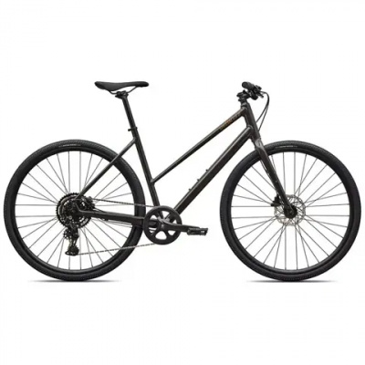 Specialized Sirrus X 2.0 Step-Through Hybrid Bike in Obsidian/Burnt Gold Frost