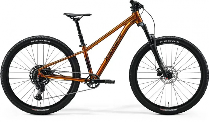 2025 Merida Matts J.Champion Kids Bike - Wild Honey/Black
