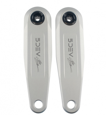 5Dev Cam Zink eBike Crank Arms - Bosch/TQ/Avinox/Gen 4 Levo Raw Silver 150mm