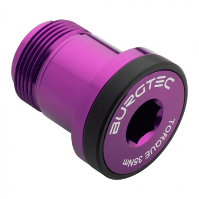 Burgtec Sram T-Type Derailleur Bolt 1 Purple Rain