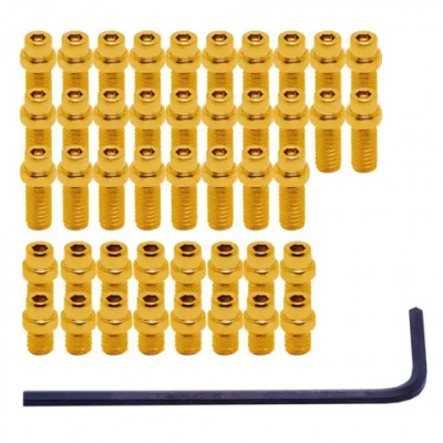 DMR Vault Flip Pin Set Gold