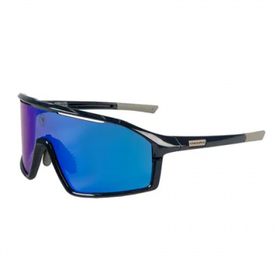 Endura Gabbro Glasses Navy