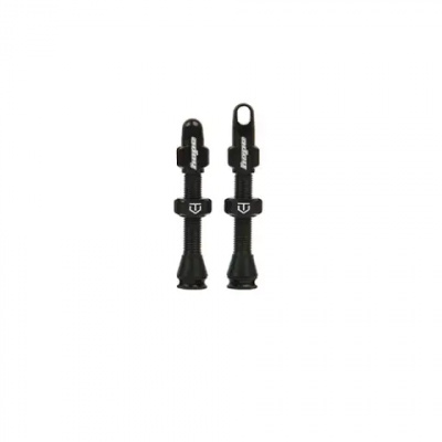 Hope Tubeless Valve Pair Black