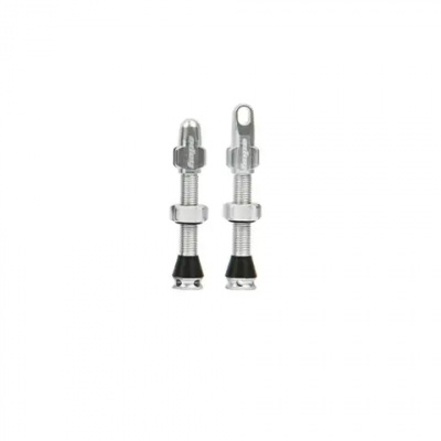Hope Tubeless Valve Pair Silver