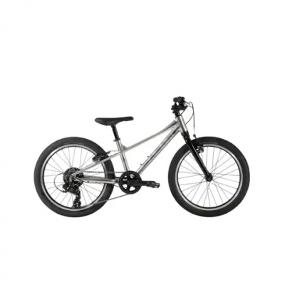 Marin Coast Trail 20 7spd Kids Bike 2024 Silver Black