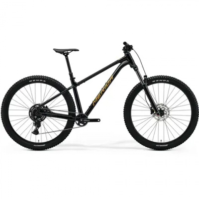 Merida BIG.TRAIL 300