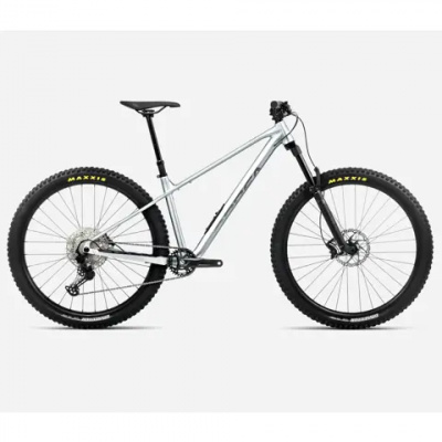 Orbea Laufey H10 Mountain Bike 2026 Smooth Silver/Titanium