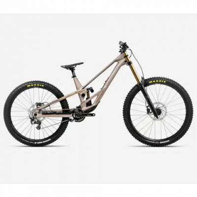 Orbea Rallon 450 D-Ltd Downhill Bike 2026 Nickel/Nickel Chrome