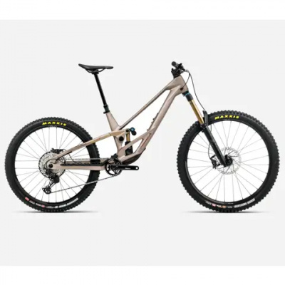 Orbea Rallon 450 E-Team Mountain Bike 2026 Nickel/Nickel Chrome