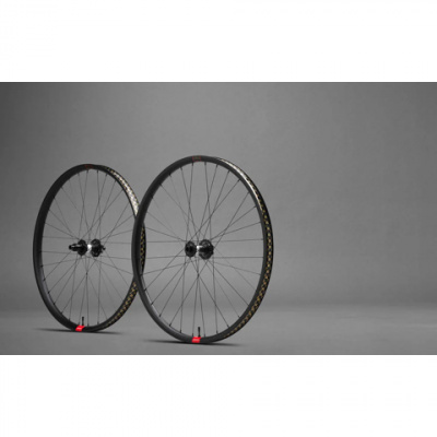 Reserve 30 SL AL 6069 Boost 110x148mm DT350 DEG DF 6-Bolt XD 28H 29er WheelSet Black