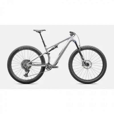 Specialized Epic 8 EVO Expert Mountain Bike 2025 Satin Silver Dust/Gunmetal