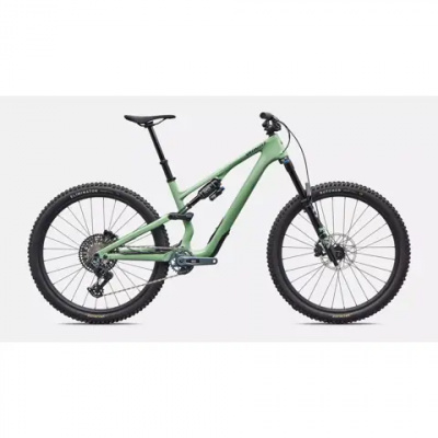 Specialized Stumpjumper Evo Expert AXS Mountain Bike Gloss Pistachio