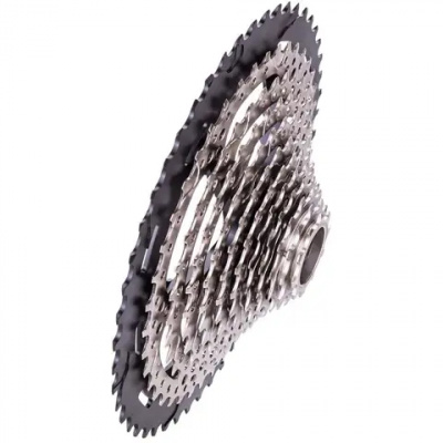 Twenty21 12 Speed Cassette Microspline 10-52T Silver