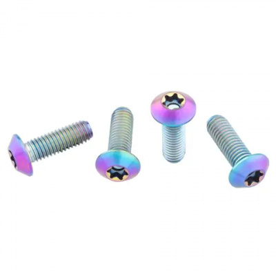 Wolf Tooth Titanium Bottle Cage Bolts Low Profile Oil Slick