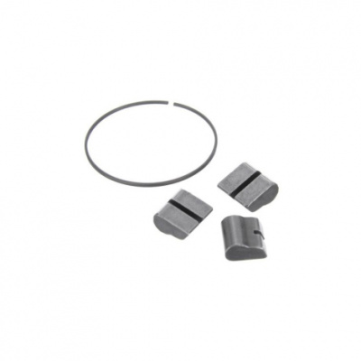 Miche Freehub Pawl/Spring Kit