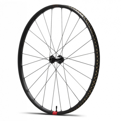 Reserve 25 | GR DT Swiss 350 Front Wheel