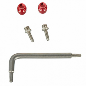 Sram Pin & Olive Hose Disc Brake Fitting Kit x 2