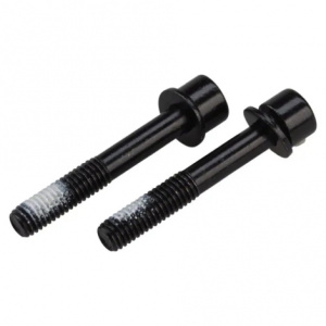 TRP Flat Mounting Bolts