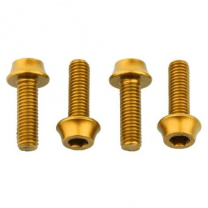 Wolf Tooth Bottle Cage Bolts