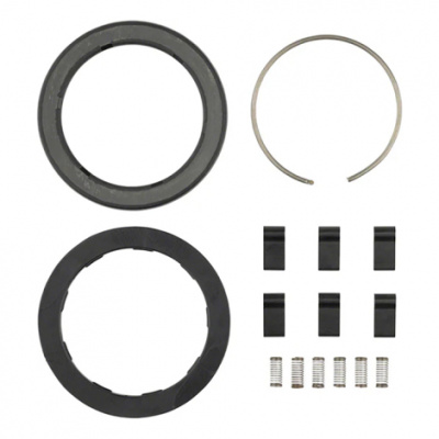 Zipp Spring And Pawl Set