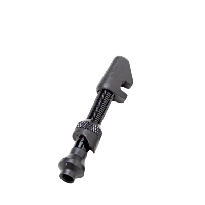 DT Swiss Lightweight Shallow Depth Tubeless Valve - Asymmetric Rims