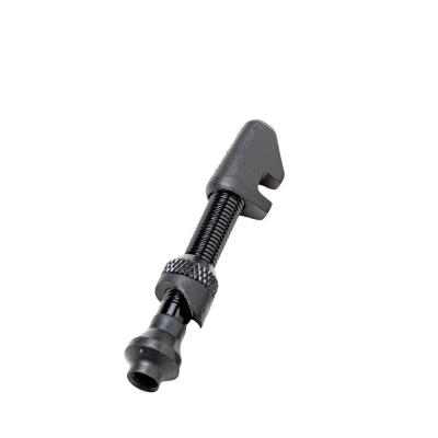 DT Swiss Lightweight Shallow Depth Tubeless Valve