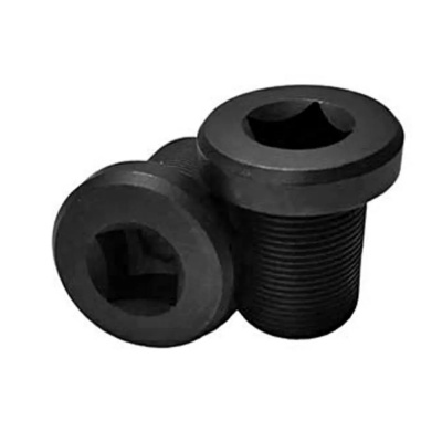 Demolition BMX Rig/Revolt 24/19mm Crank Spindle Bolts