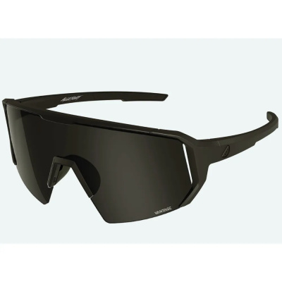 Melon Alleycat Sunglasses trail All Black/Dark Smoke HS