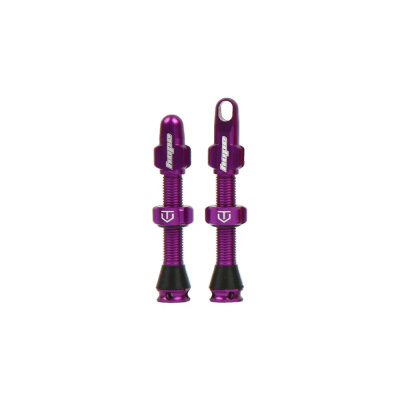 Hope Tubeless Valves in Purple - 60mm