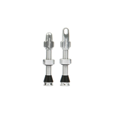 Hope Tubeless Valves in Silver - 40mm