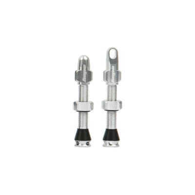 Hope Tubeless Valves in Silver - 60mm