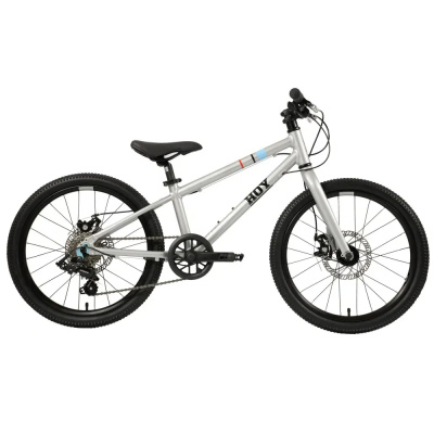 Hoy Pentland 20 Inch Kids Bike in Titanium Silver