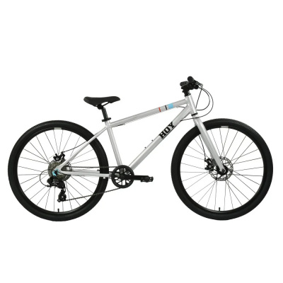Hoy Pentland 26 Inch Kids Bike in Titanium Silver