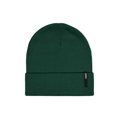 POC Beanie Flat in Pargasite Green