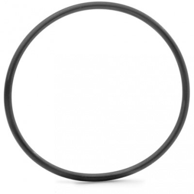 BOSCH O-Ring to Secure Spider/Chainring