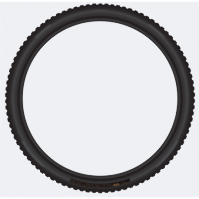 Bontrager Galbraith RSL SE TLR MTB Tyre