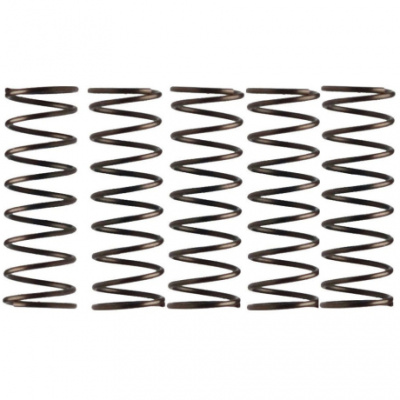 Campagnolo Freehub Pawl Springs