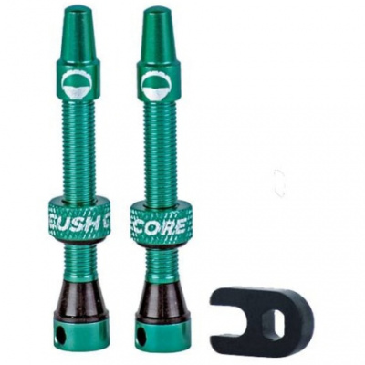 CushCore Tubeless Valves